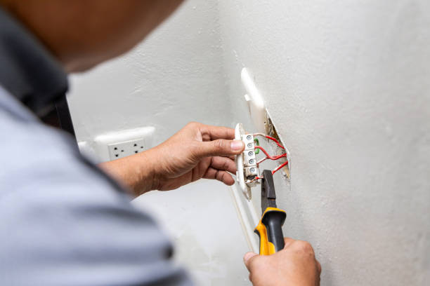Best Ceiling Fan Installation Electrician  in Pomona Park, FL