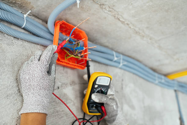 Best Generator Installation Services  in Pomona Park, FL